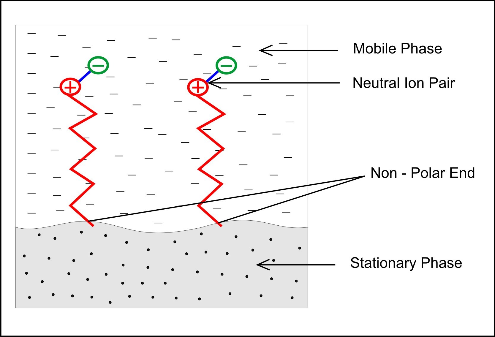 Mobile-phase-diagram-wid-polar-n-non-polar-ends.jpg