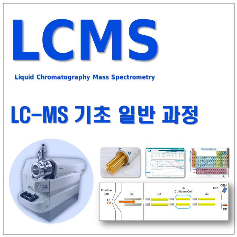 LC/MS/MS 기초일반