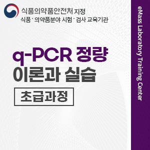 q-PCR 정량이론과 실습 